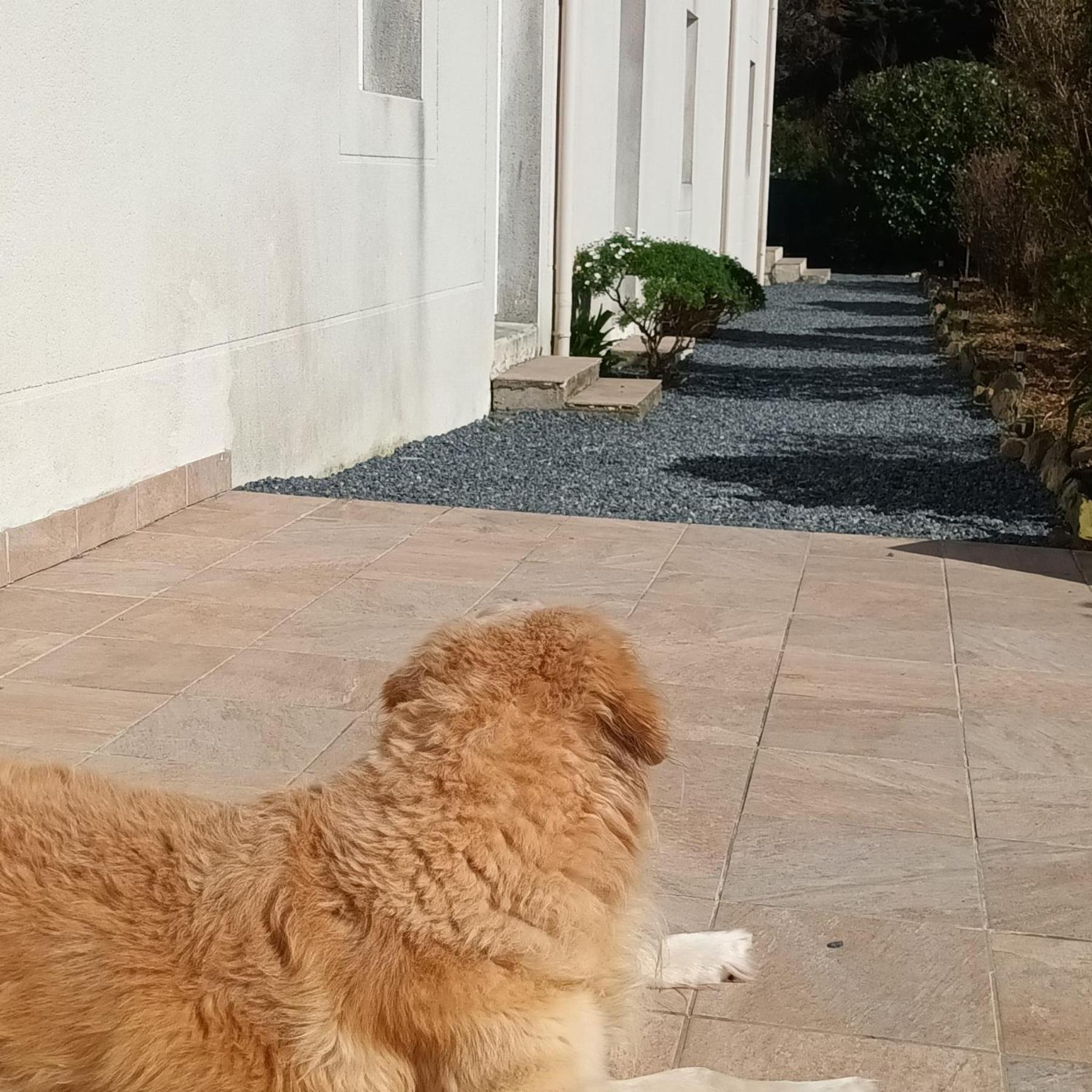La Maison Des Poulains Sauzon Εξωτερικό φωτογραφία